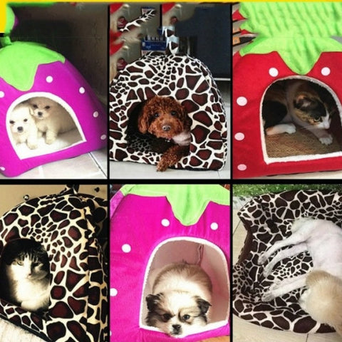 Pet Bed/House