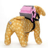 Large Pet Dog Backpack Bear Bags And Leashes