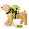 Large Pet Dog Backpack Bear Bags And Leashes