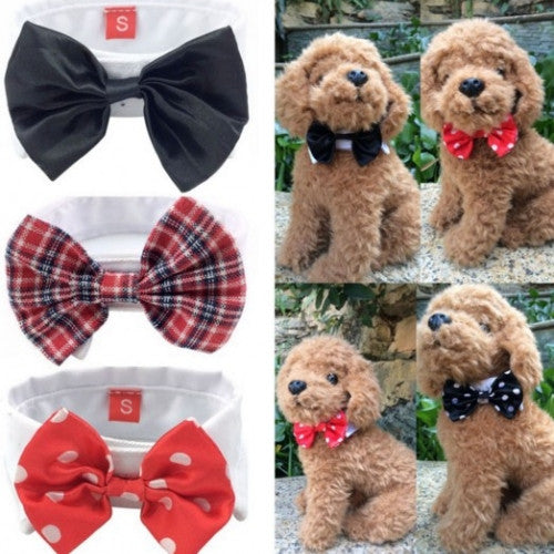 Best Fashion Lovely Pet Bow Tie Collar Clothes